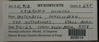 Image Associated With the Occurence